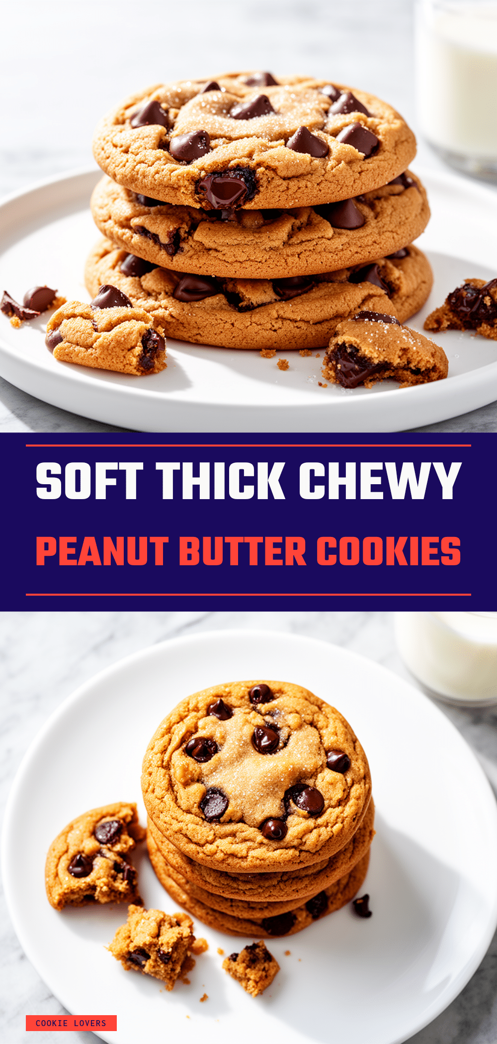 Chewy Peanut Butter Chocolate Chip Cookies Easy Recipe with Simple Ingredients 5 chewy peanut butter chocolate chip cookies recipe