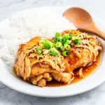 slow cooker honey garlic chicken - featured image