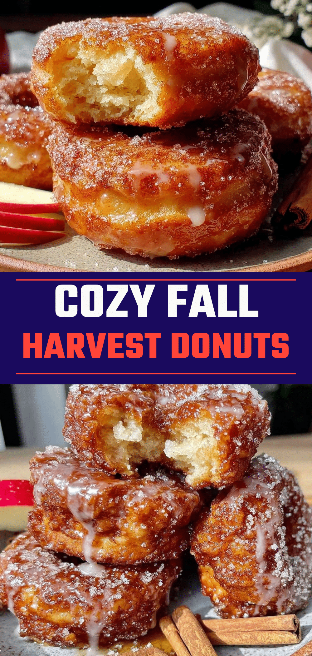 Fall Harvest Apple Cider Donuts with Cinnamon Sugar: Easy Budget Family Recipe 5 fall harvest apple cider donuts recipe