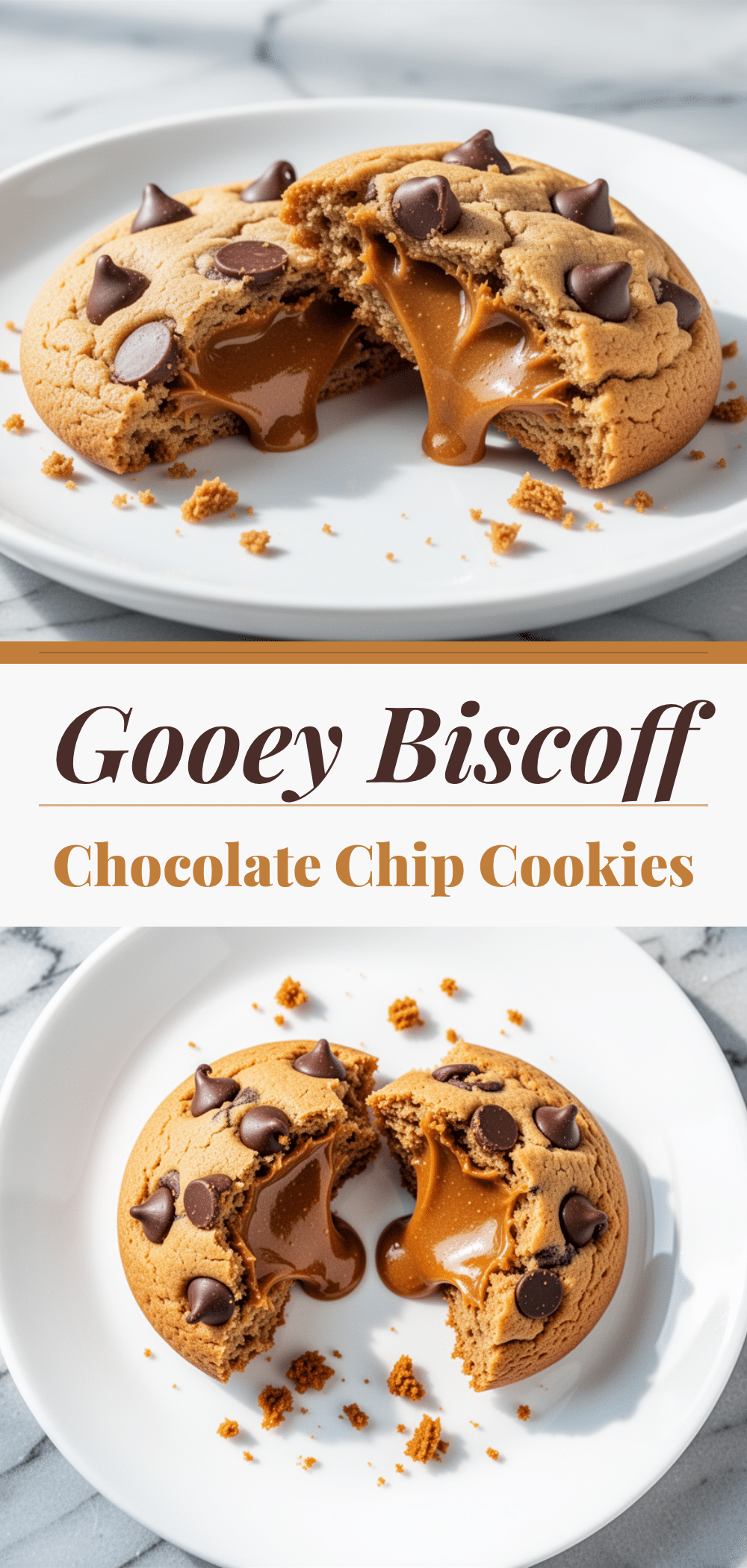 Gooey Biscoff Cookie Butter Stuffed Chocolate Chip Cookies 5 gooey Biscoff cookie butter stuffed chocolate chip cookies recipe