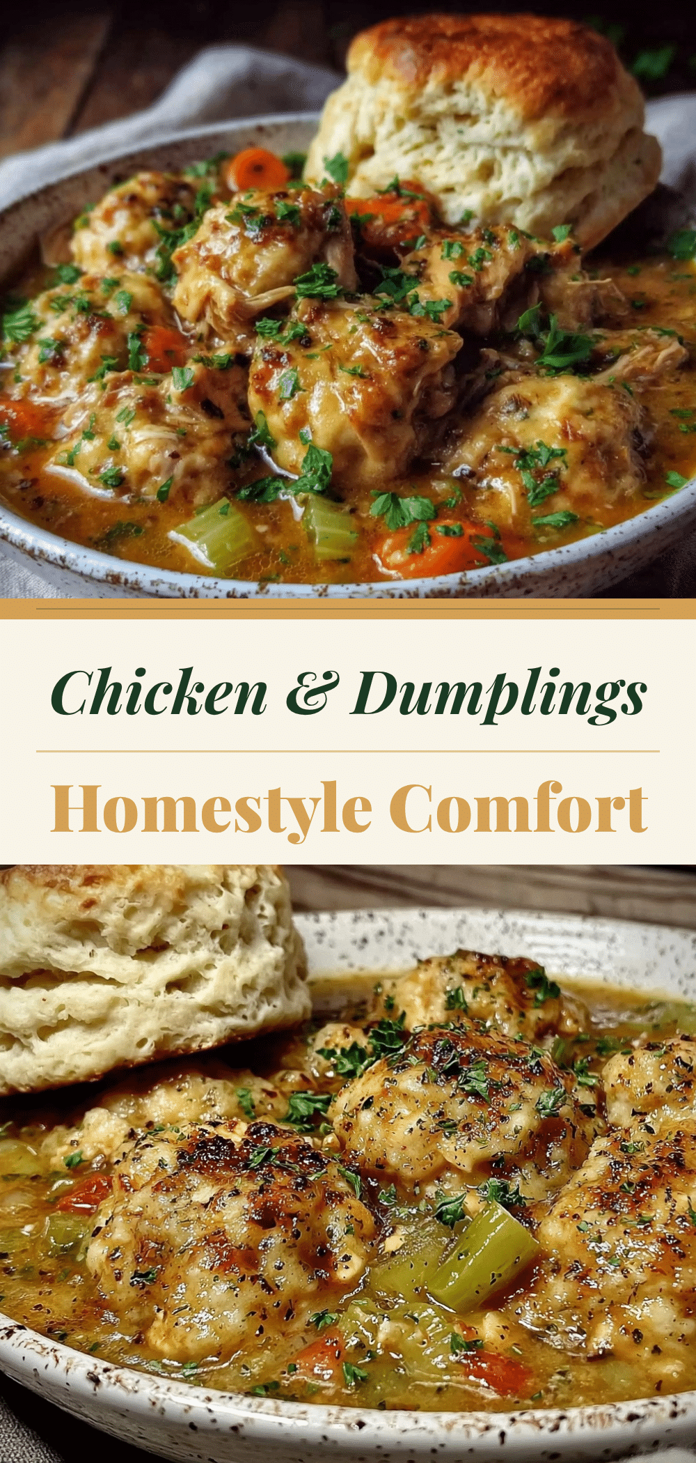 Homestyle Chicken and Dumplings: Budget-Family Dinner 5 homestyle chicken and dumplings recipe