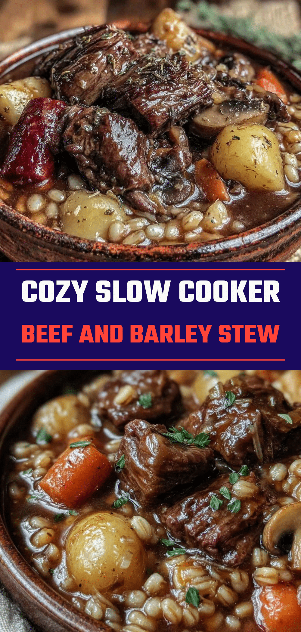 Slow Cooker Beef and Barley Stew: Cheap Family Dinner 5 slow cooker beef and barley stew recipe